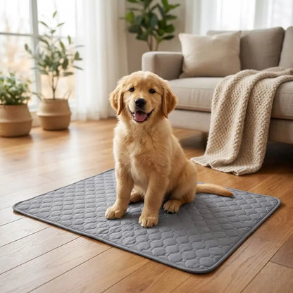 Blivano PawShield Reusable Pee Pad
