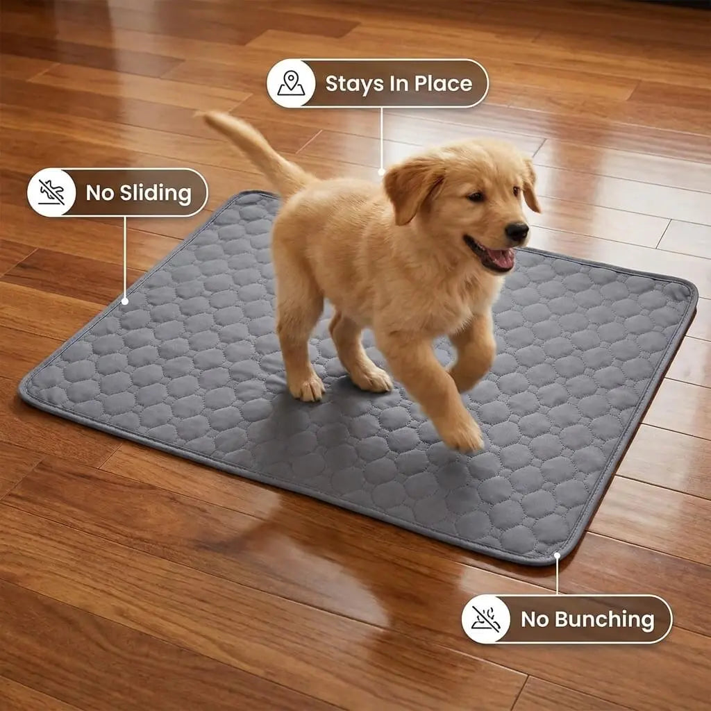Blivano PawShield Reusable Pee Pad